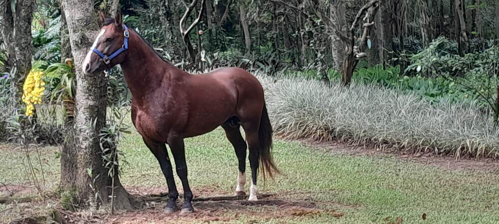 Фотография автора Giacomo Biagio Di Gesu Filho