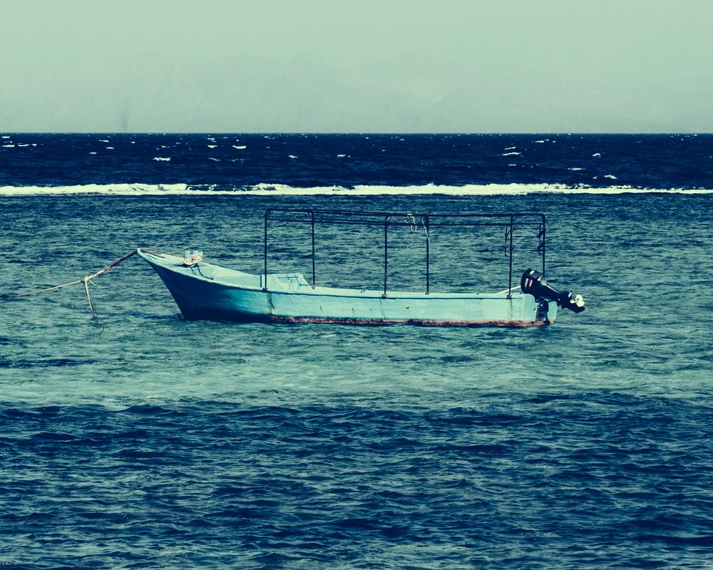 Photograph by Mahmoud Othman