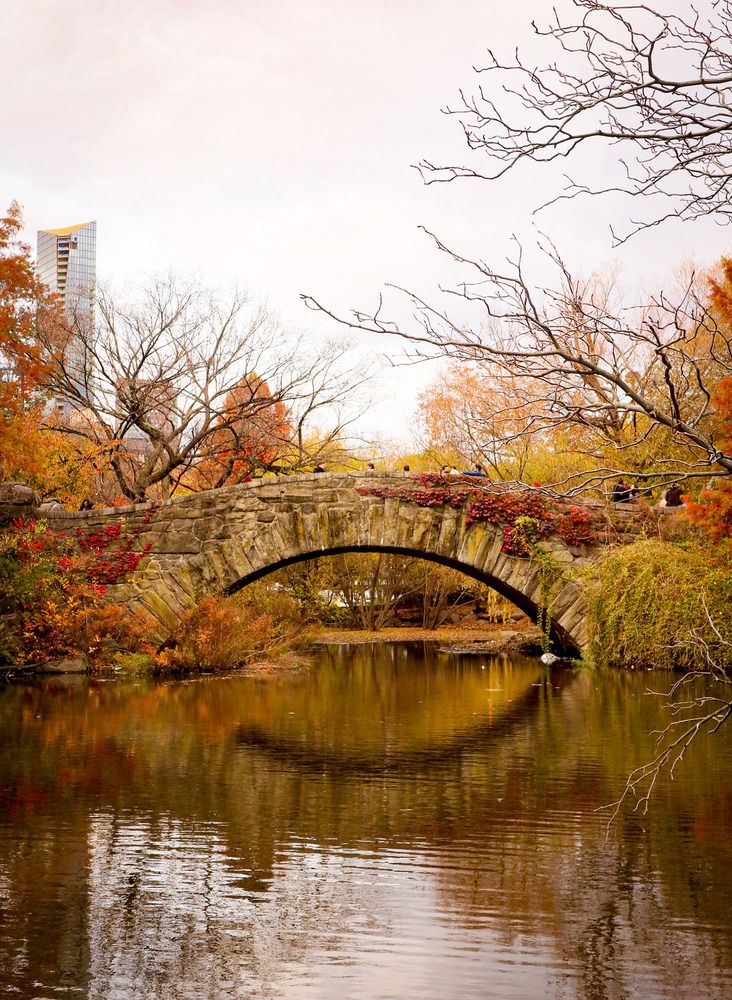 Photo #13076558