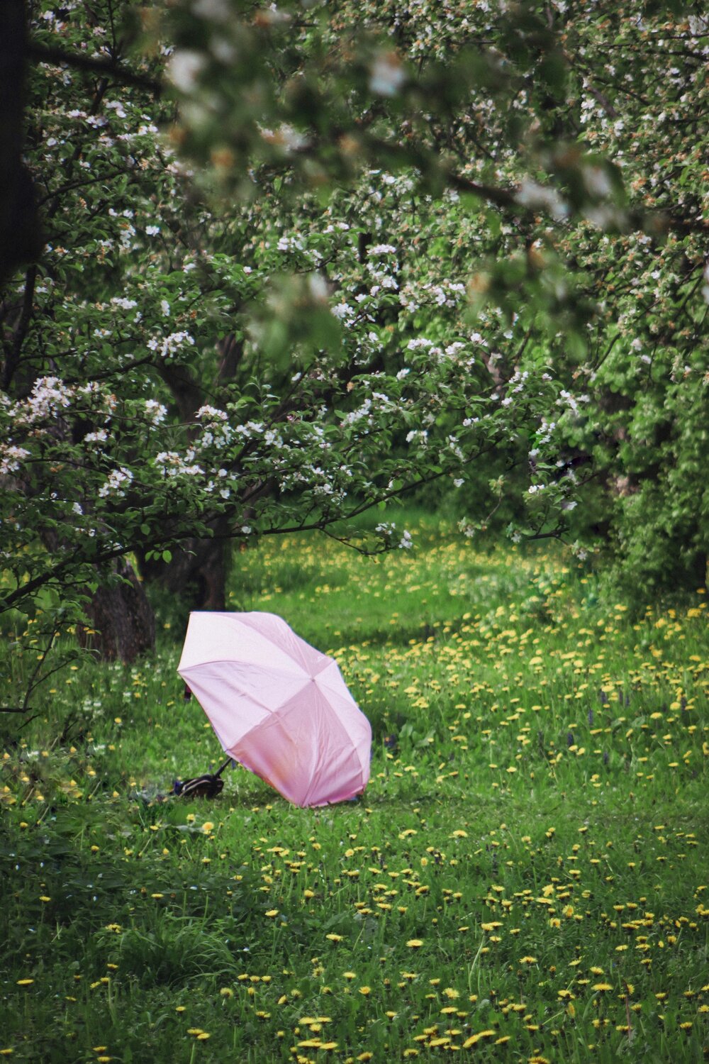 Photo #13076573