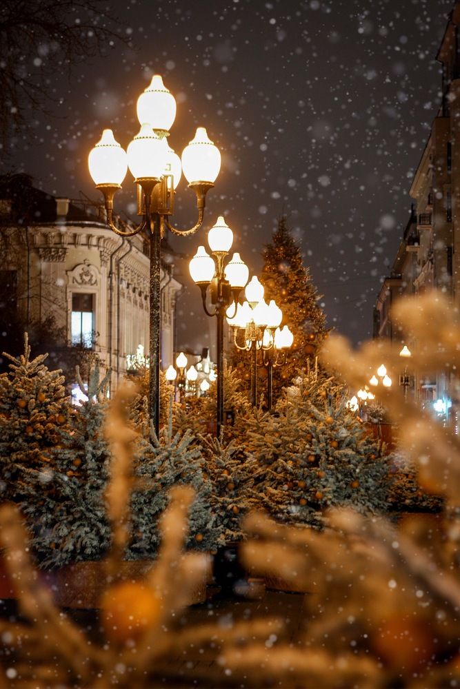 Photograph by Diana Androsova