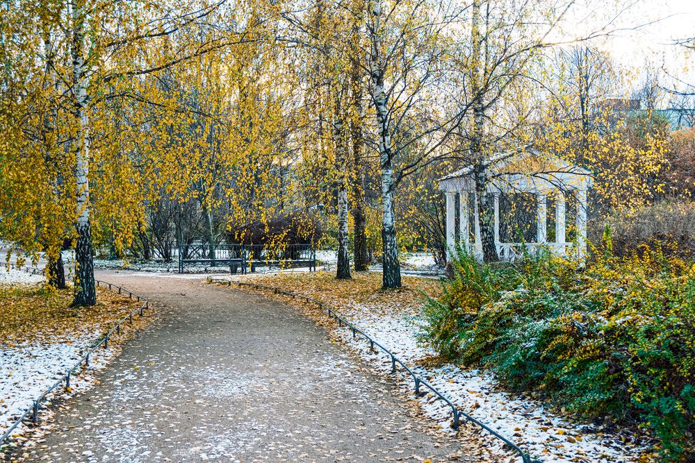 Измайловский парк.