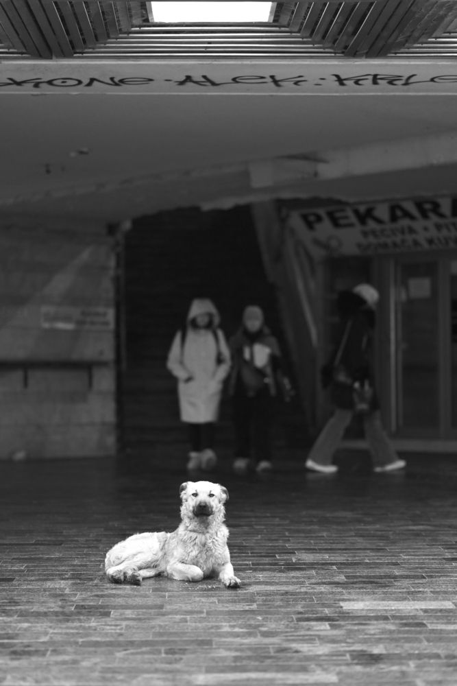 Photograph by Бирюков Сергей