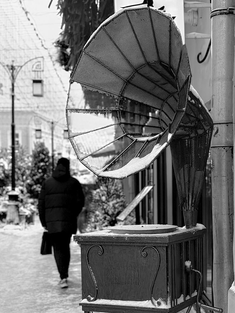 Photograph by Елена Чулюнина
