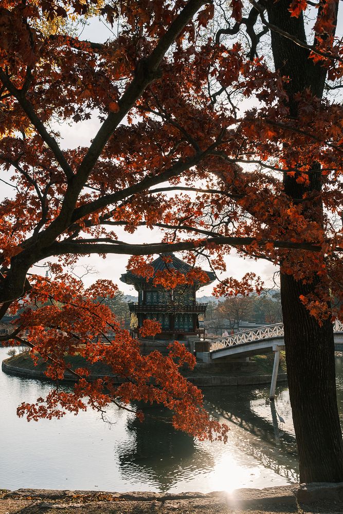 Photograph by Мария Гумарова