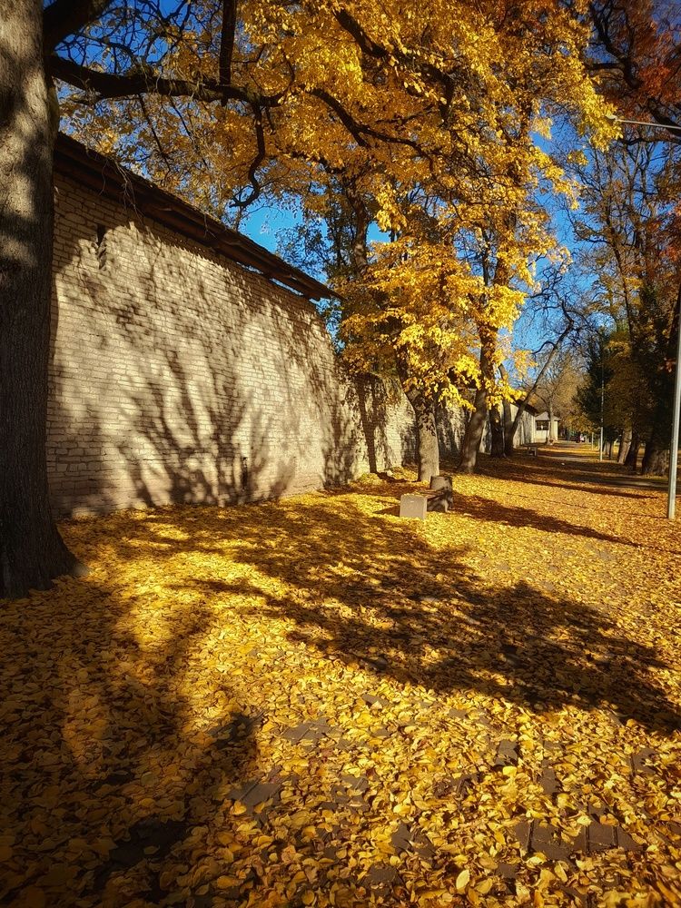 Photograph by Станислава Губанова