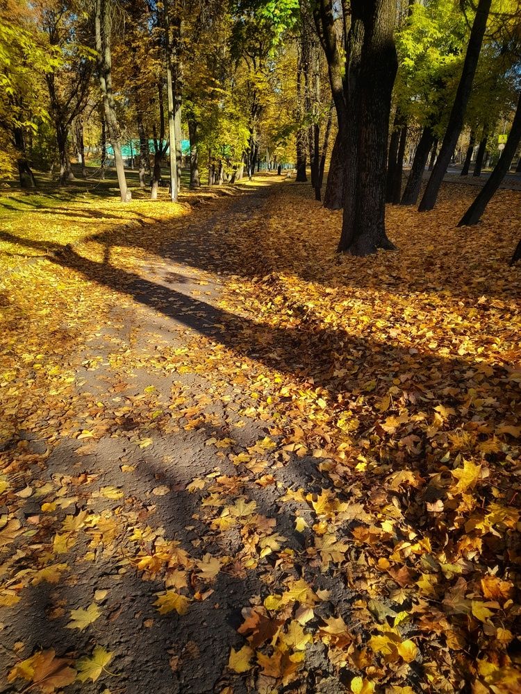 Photograph by Станислава Губанова