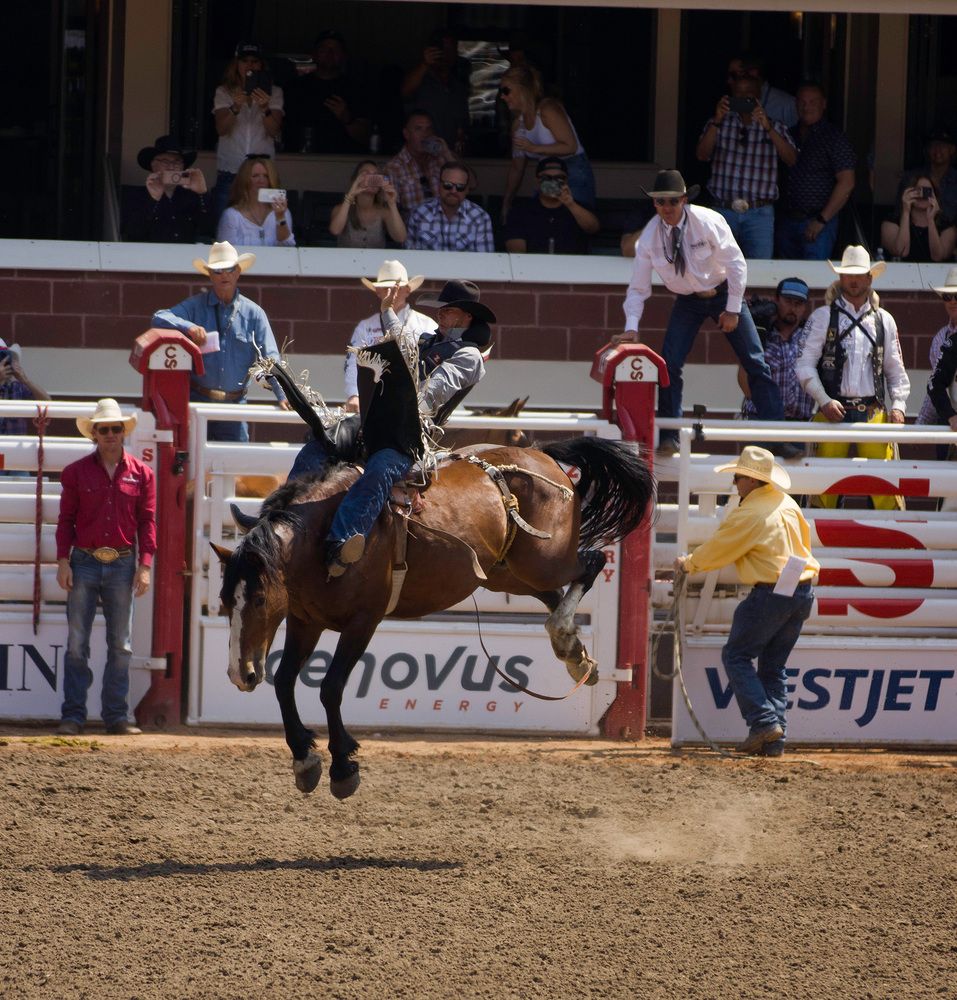 Photograph by Ирина Филиппова