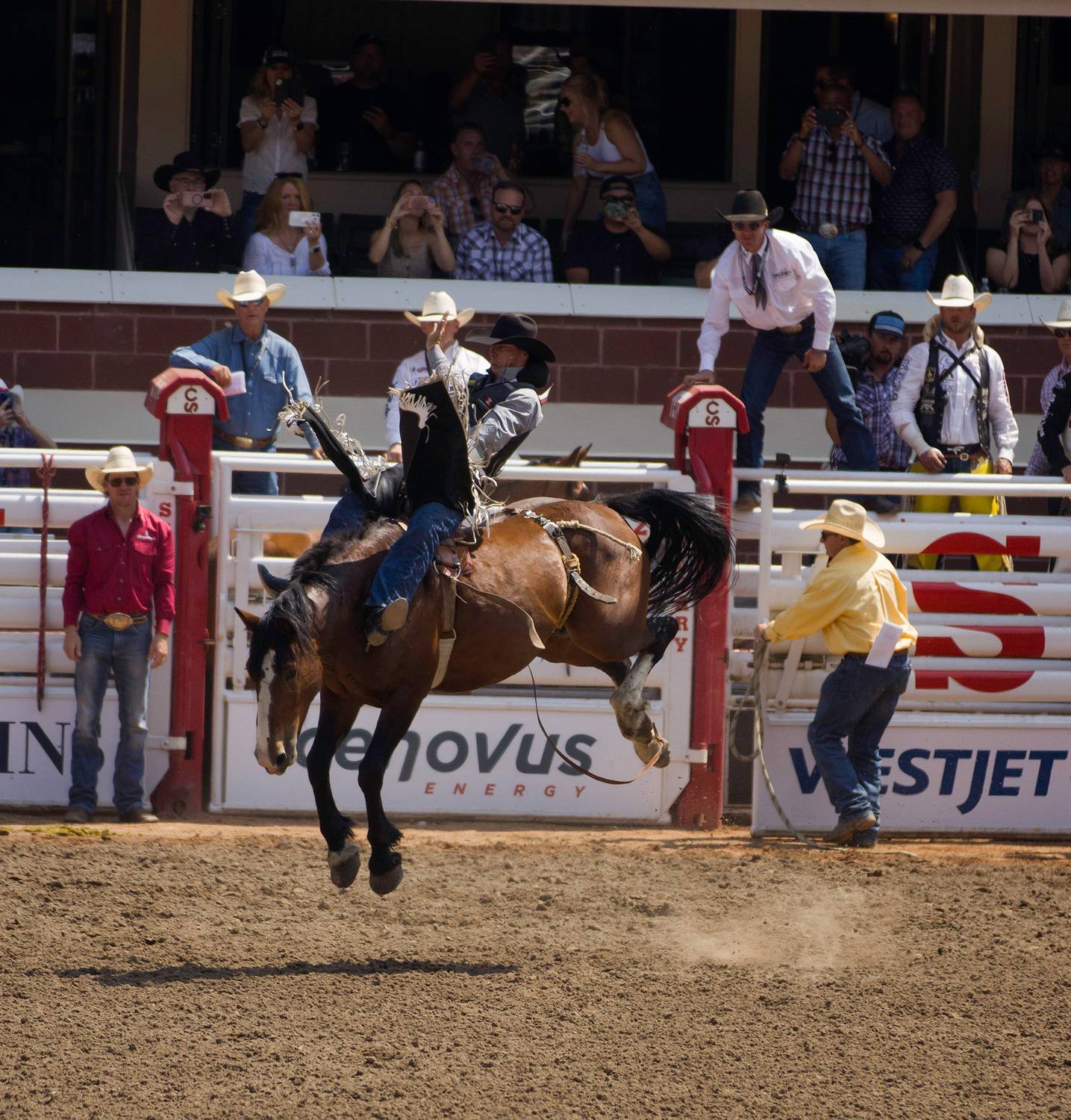 Фотография #13076726