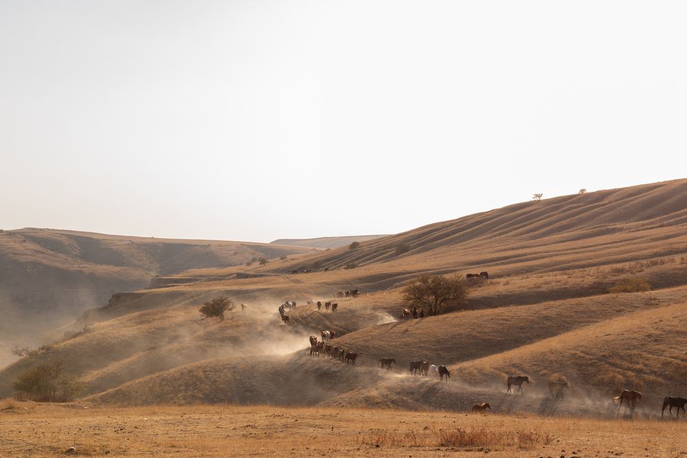 Photograph by Игорь