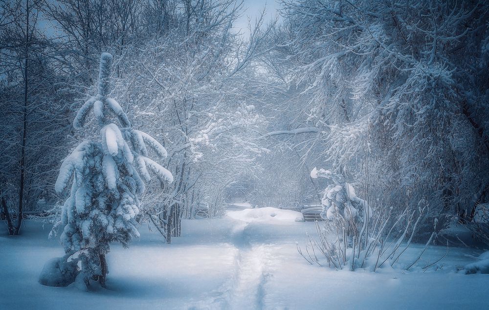 Photograph by Юлия Лушникова