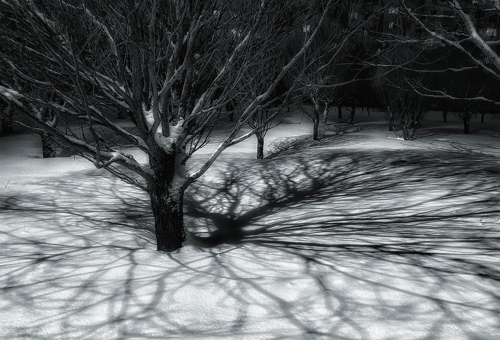 Photograph by Leanid Kulpo