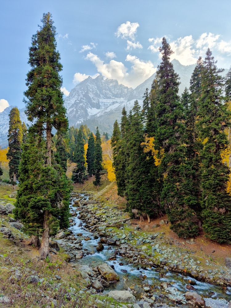 Photograph by DINESH DAKSH