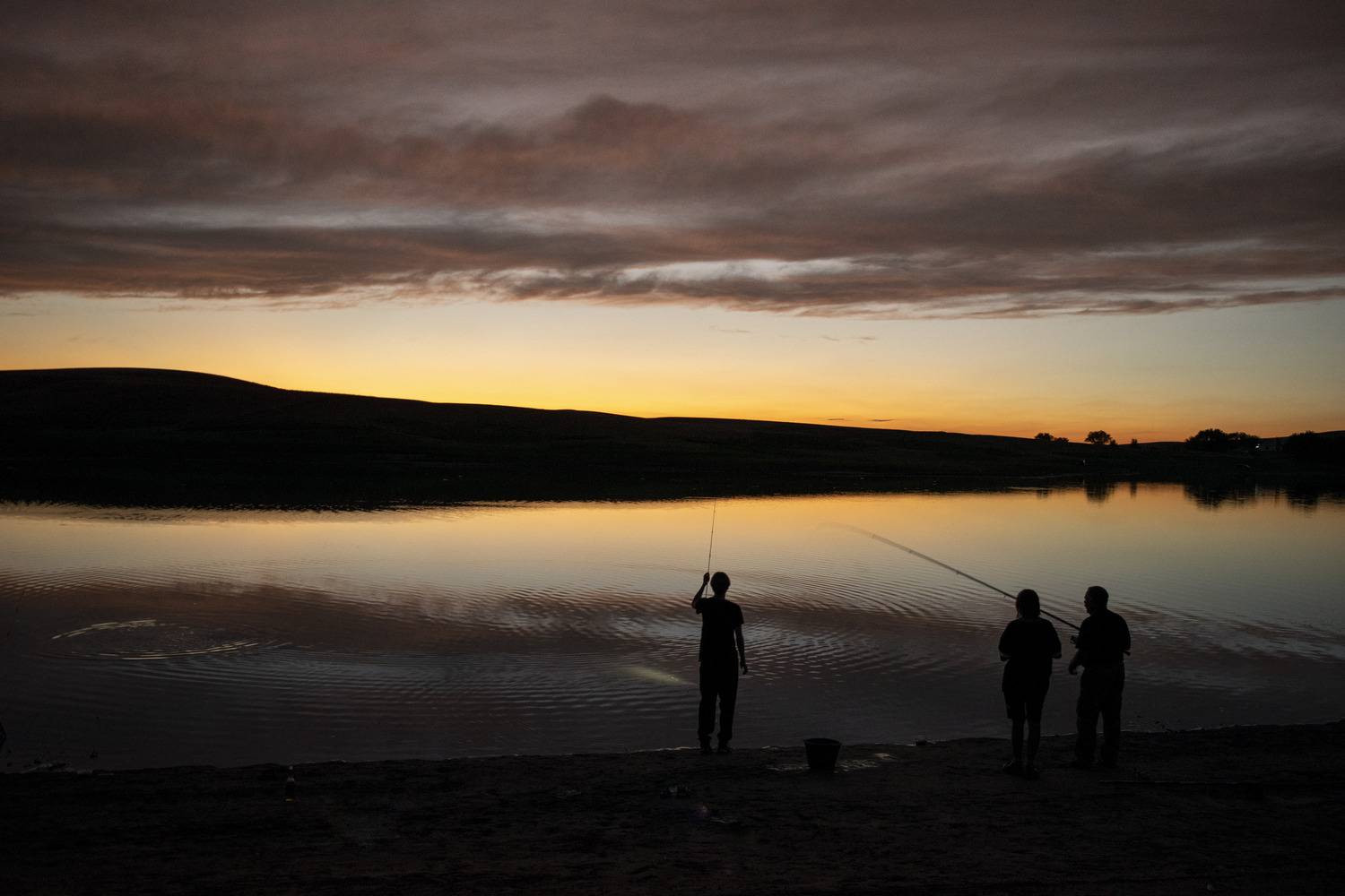 Photo #13076856