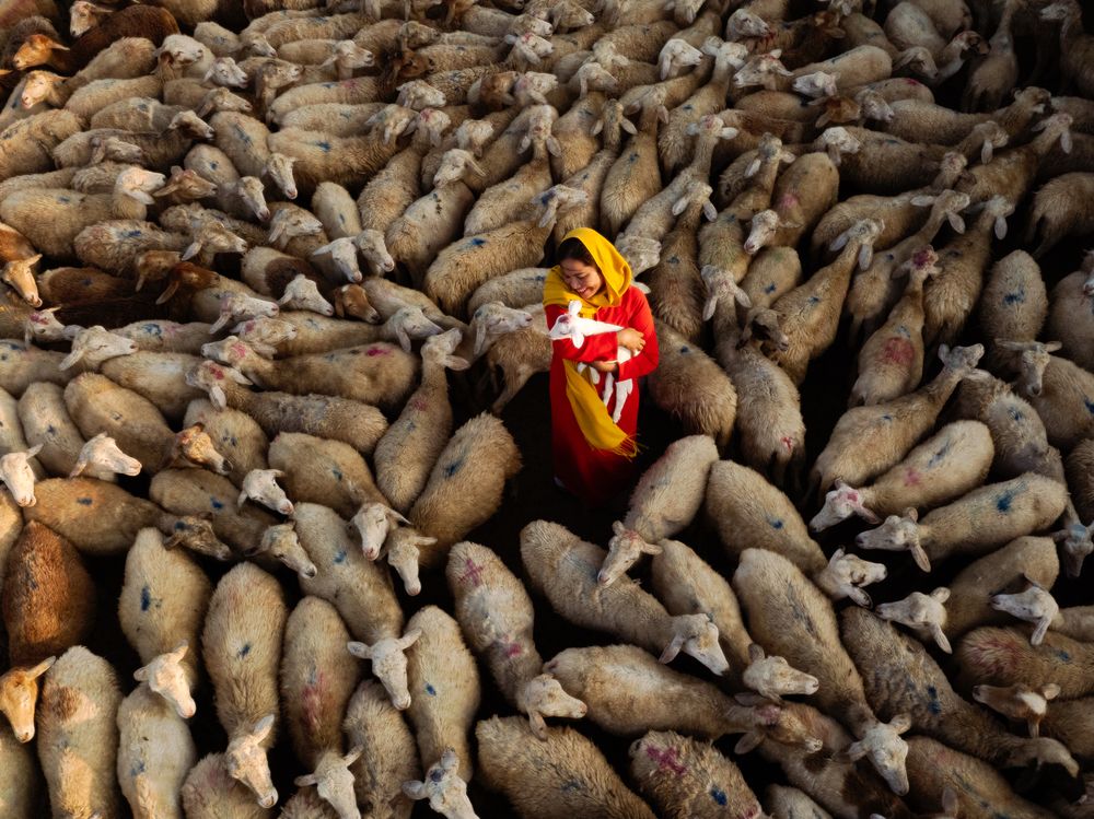 Photograph by Bao Nguyen