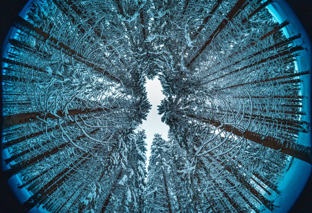 Photograph by Максим Белоус