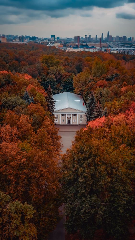 Фотография автора Медведева Елена