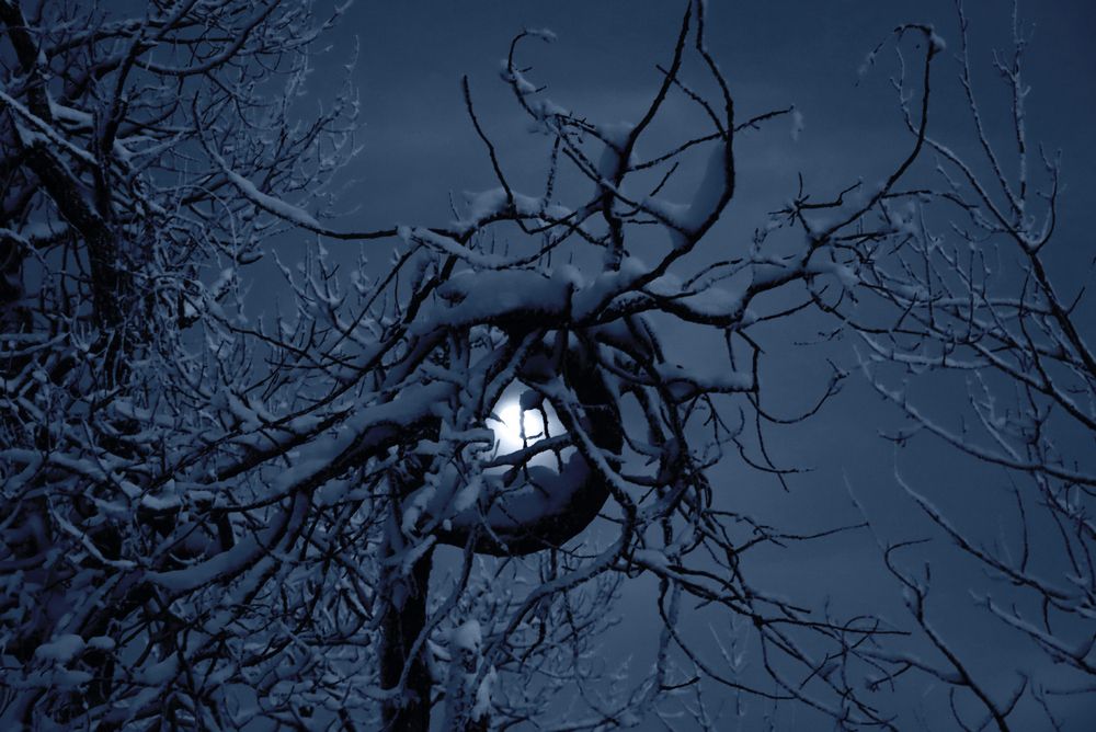 Photograph by Галина Ильясова