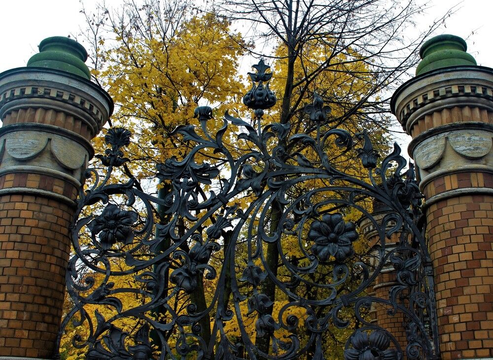 Photograph by Юлия Сидоркина