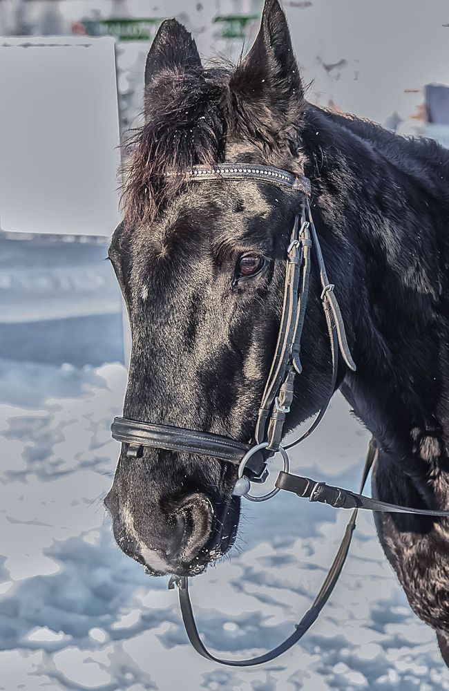 Photograph by Пушкин Сергей