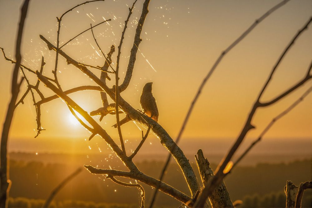 Photograph by Cá PhotoGraphy