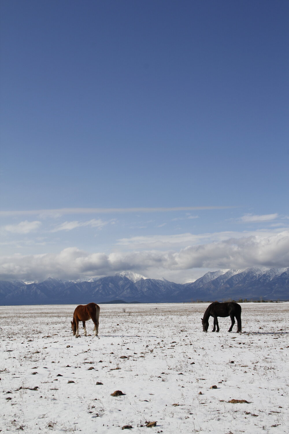 Photo #13076970