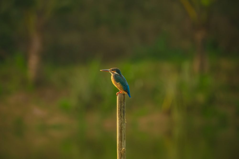 Photograph by Cá PhotoGraphy