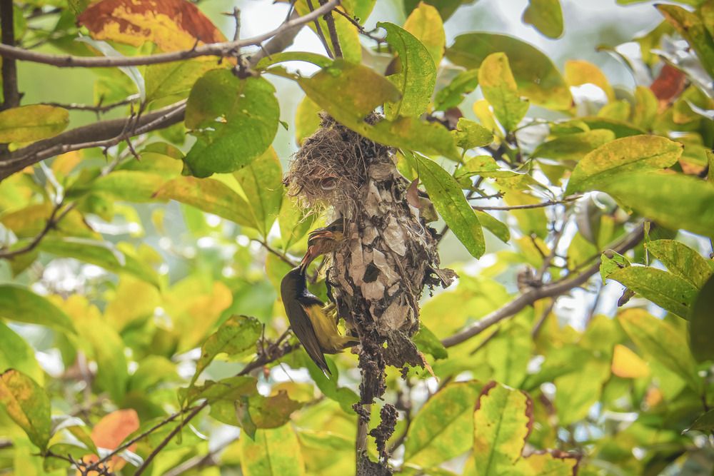 Photograph by Cá PhotoGraphy