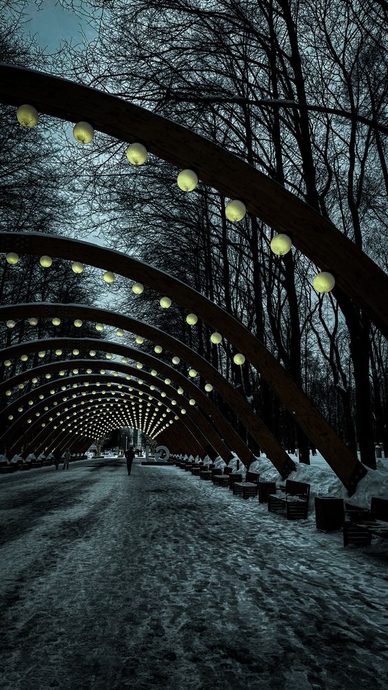 Фотография автора Андрей Груцинов