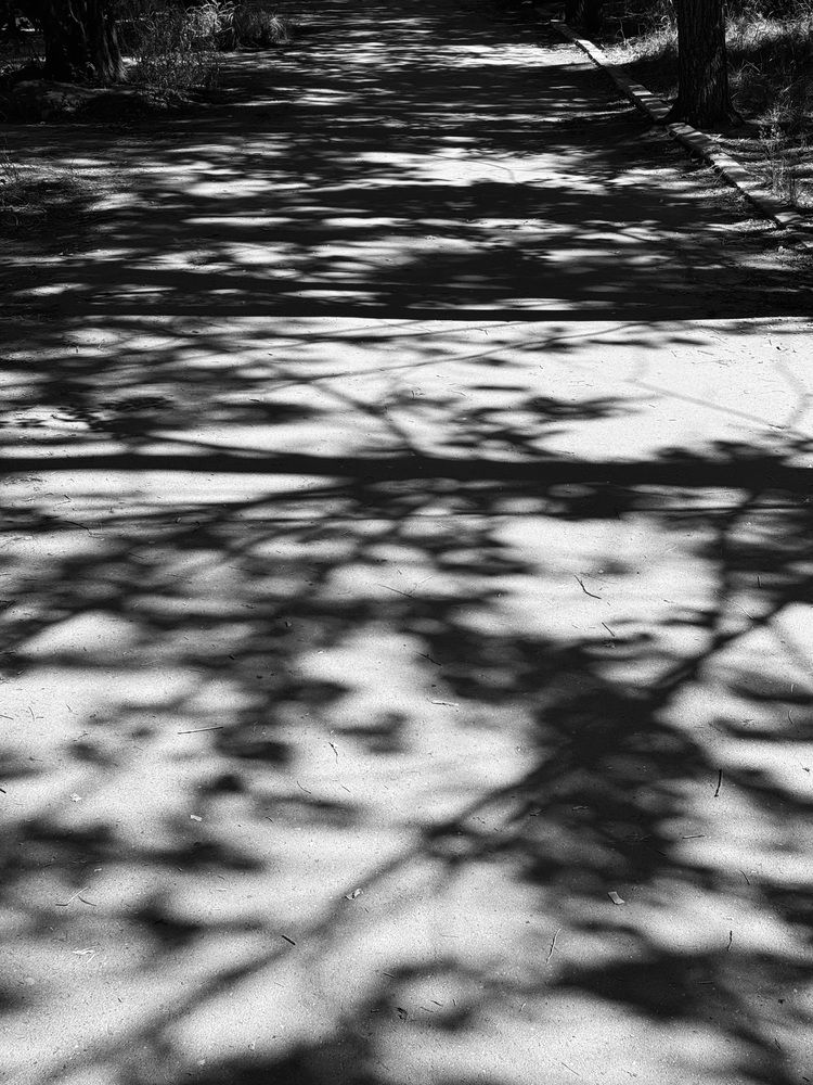 Photograph by Ульяна Красикова