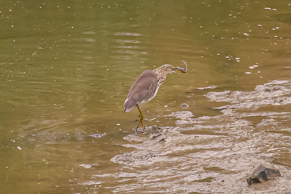 Photograph by Cá PhotoGraphy