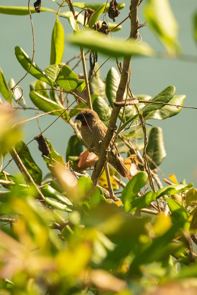 Photograph by Cá PhotoGraphy