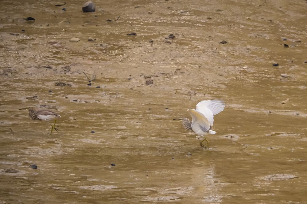 Photograph by Cá PhotoGraphy