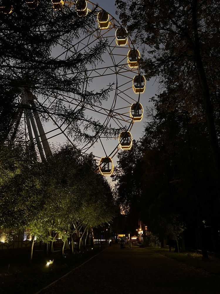 Фотография автора Полина Ишкина