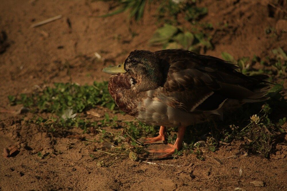 Photograph by Мария Черенева