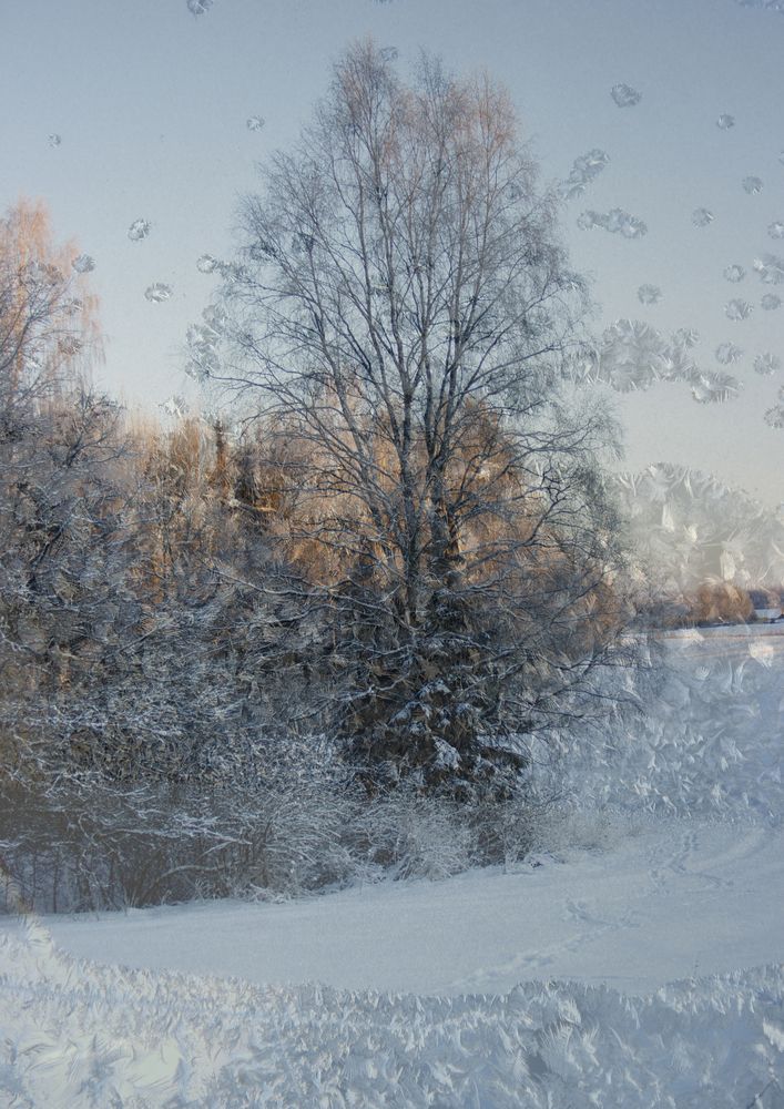 Фотография автора Анна-Лаймуте Милошевич