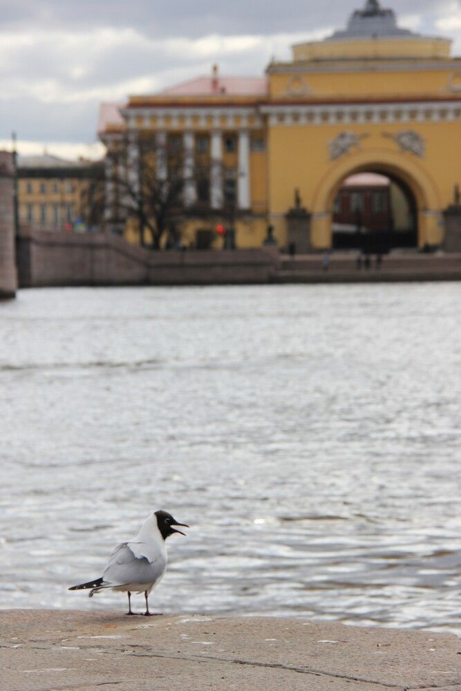 Photograph by Nikita Zorin