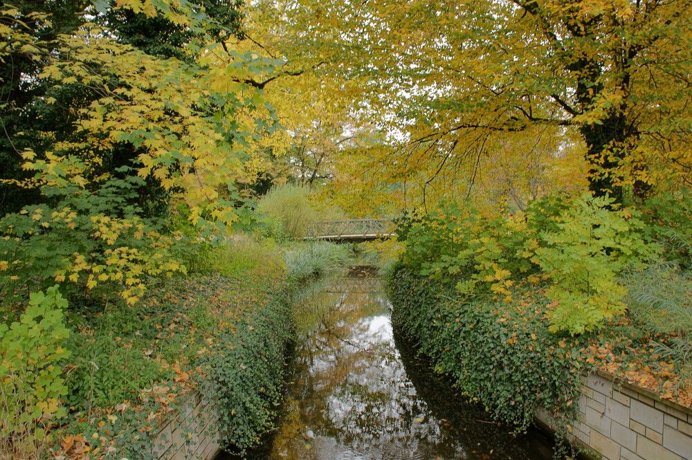 Photograph by Sergej Roor