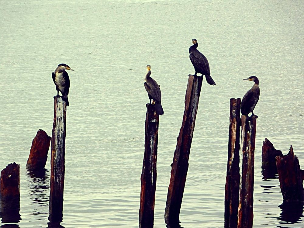 Photograph by Игорь Галеев