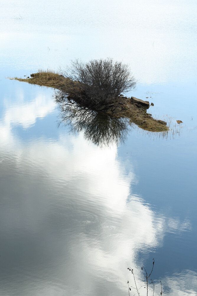 Фотография автора Наталия Козлова