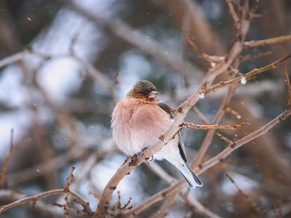 Photograph by Христина Сергейчик
