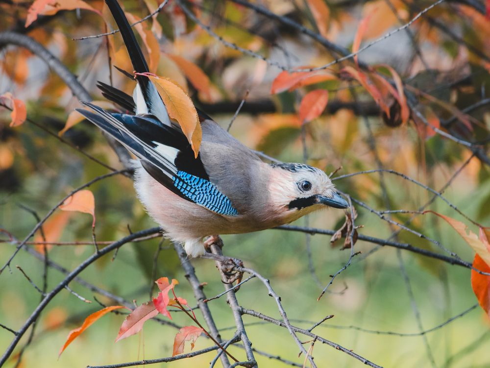 Photograph by Христина Сергейчик