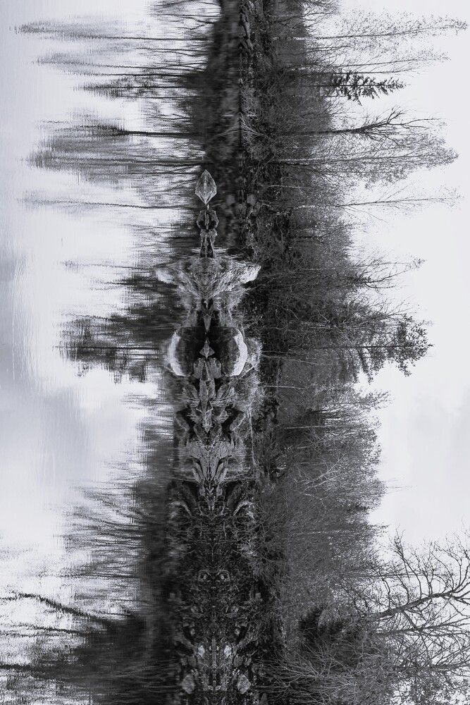 Фотография автора Наталия Козлова