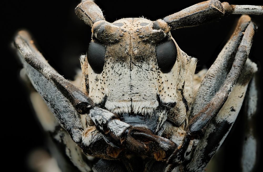 Photograph by Ngoc Hieu Bui