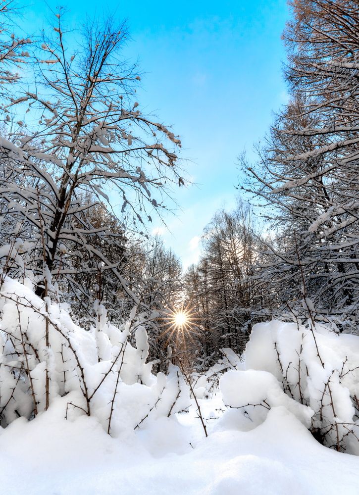 Фотография автора Андрей Некрашевич