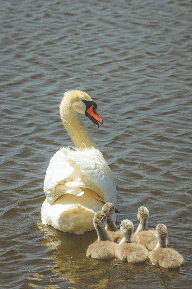 Photograph by Христина Сергейчик