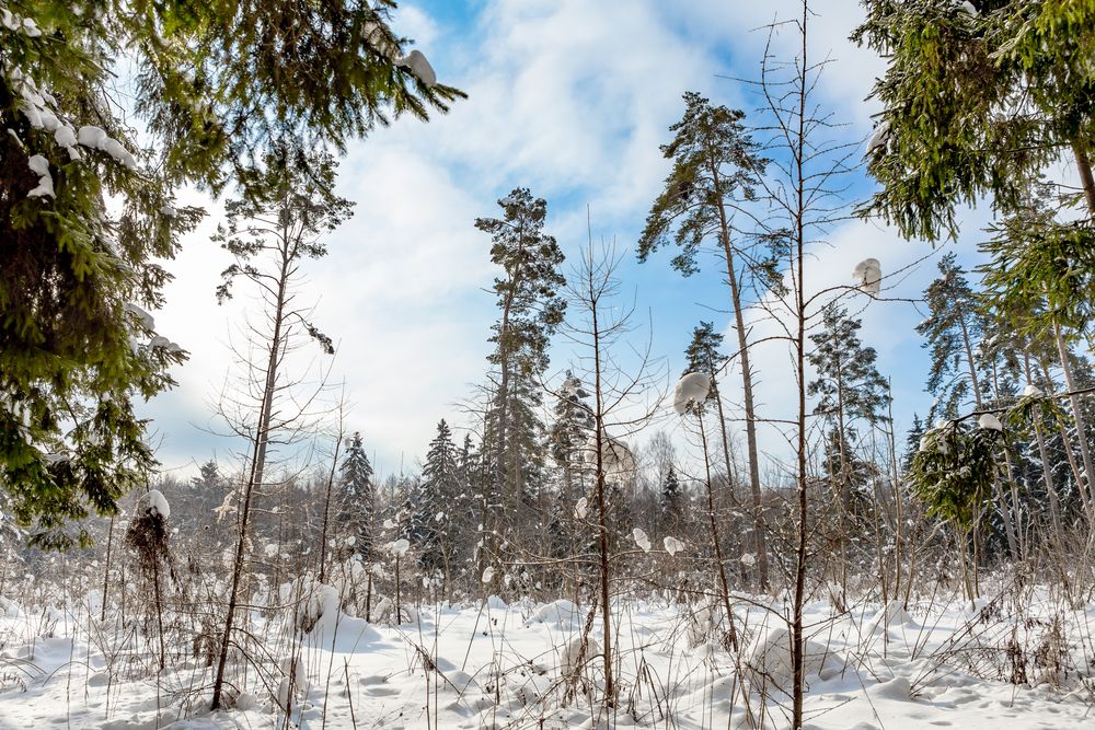 Фотография автора Андрей Некрашевич