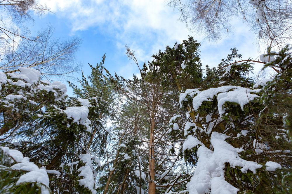 Фотография автора Андрей Некрашевич