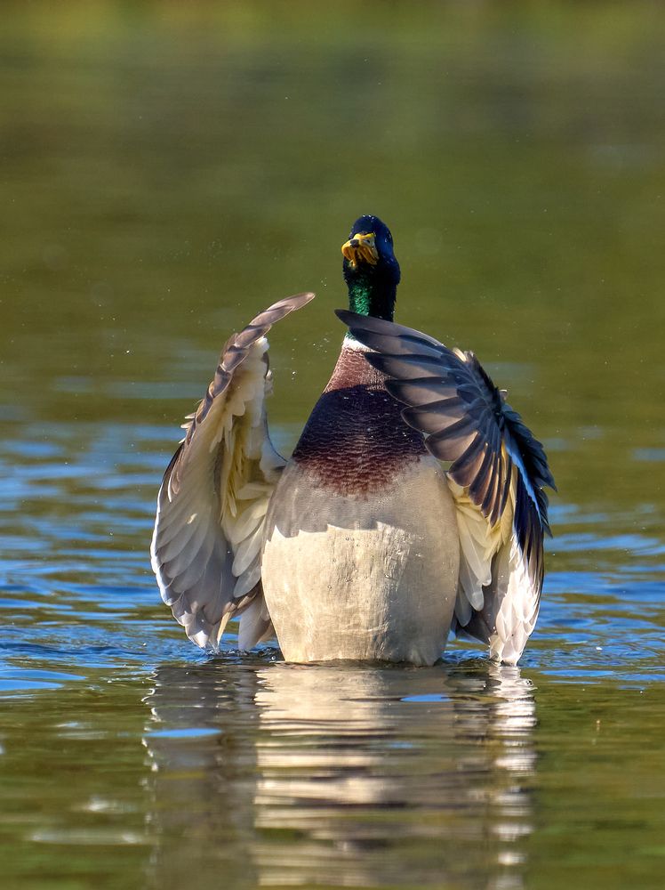 Photograph by Андрей Некрашевич
