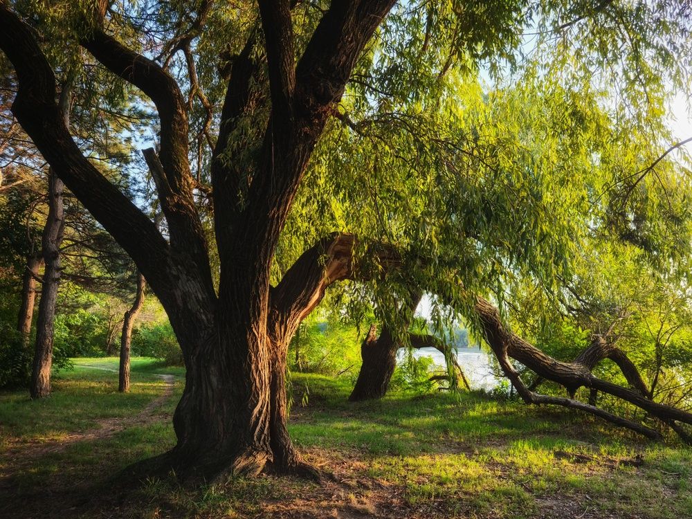 Photograph by Сергей Тихомиров